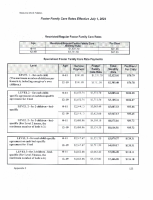 Foster Family Care Rates July 2024.pdf.pdf